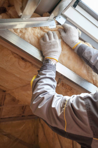 Best Geographic-Specific Insulation Services in Crivitz, WI